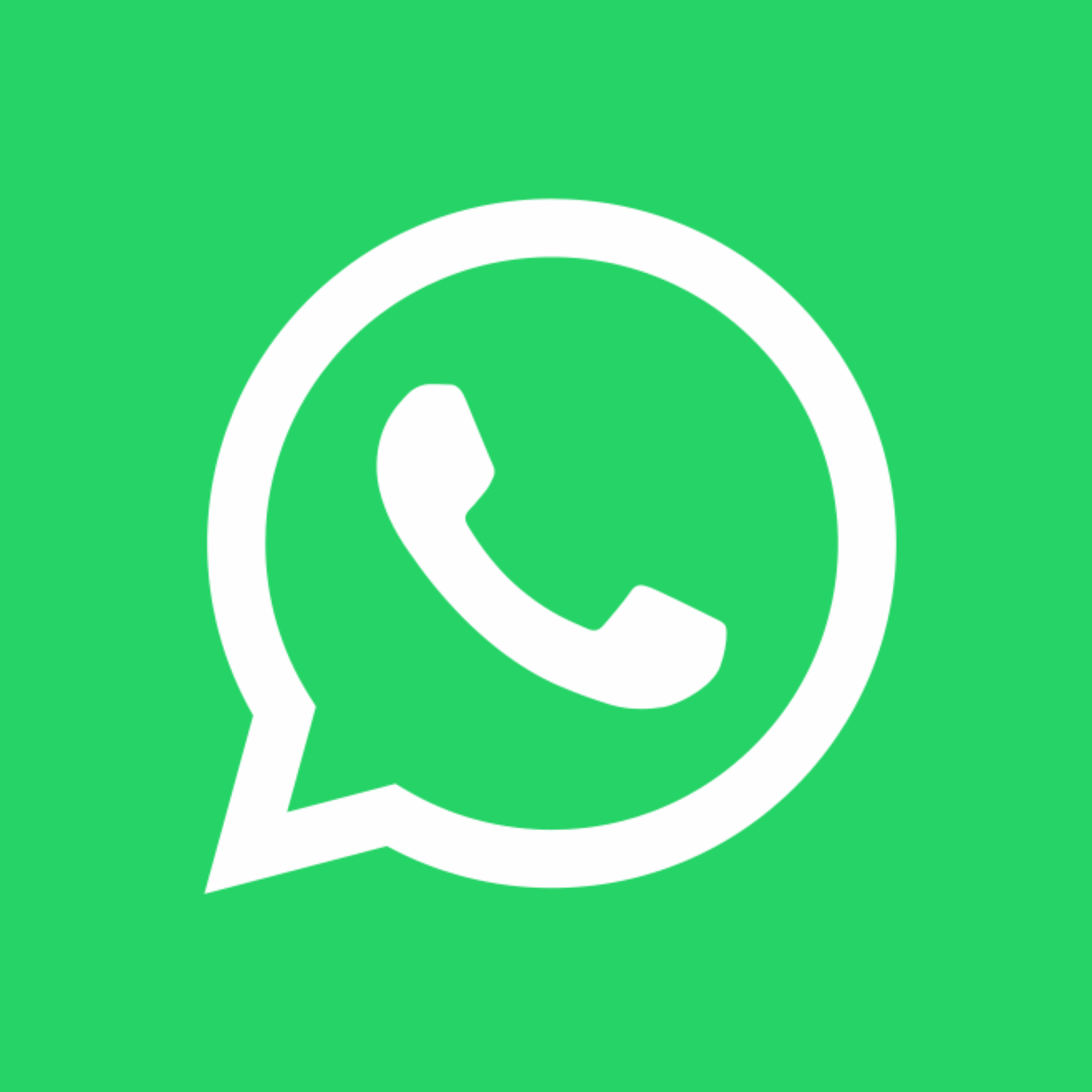 WhatsApp directo